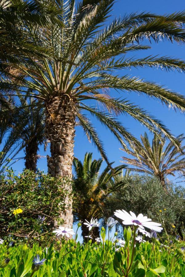Ferienwohnung Carissa House In Crete Sitia  Exterior foto
